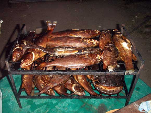 Рыбацкие трофеи