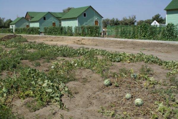 Рыболовно-охотничья база «ЮЛТА»